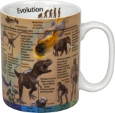 Könitz Evolution (dt.) - Becher