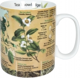 Könitz knowledge mug tea - Becher